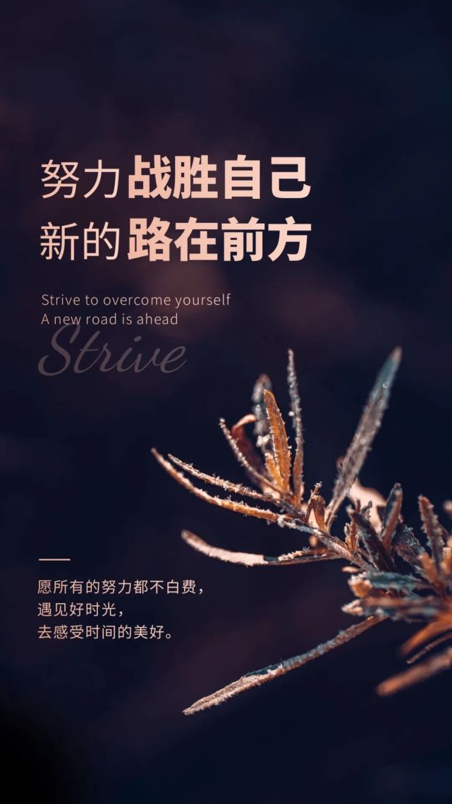 正能量早安心语图片句子,无论生活多难,你都要坚持勇敢