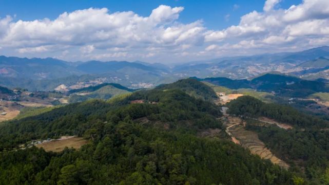 哀牢山位于云南南部,很多地方的海拔不足1千米,算