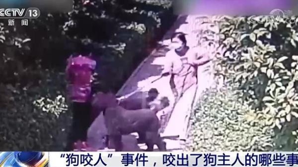 "狗咬人"咬出狗主人哪些事?拒不道歉底气何在?