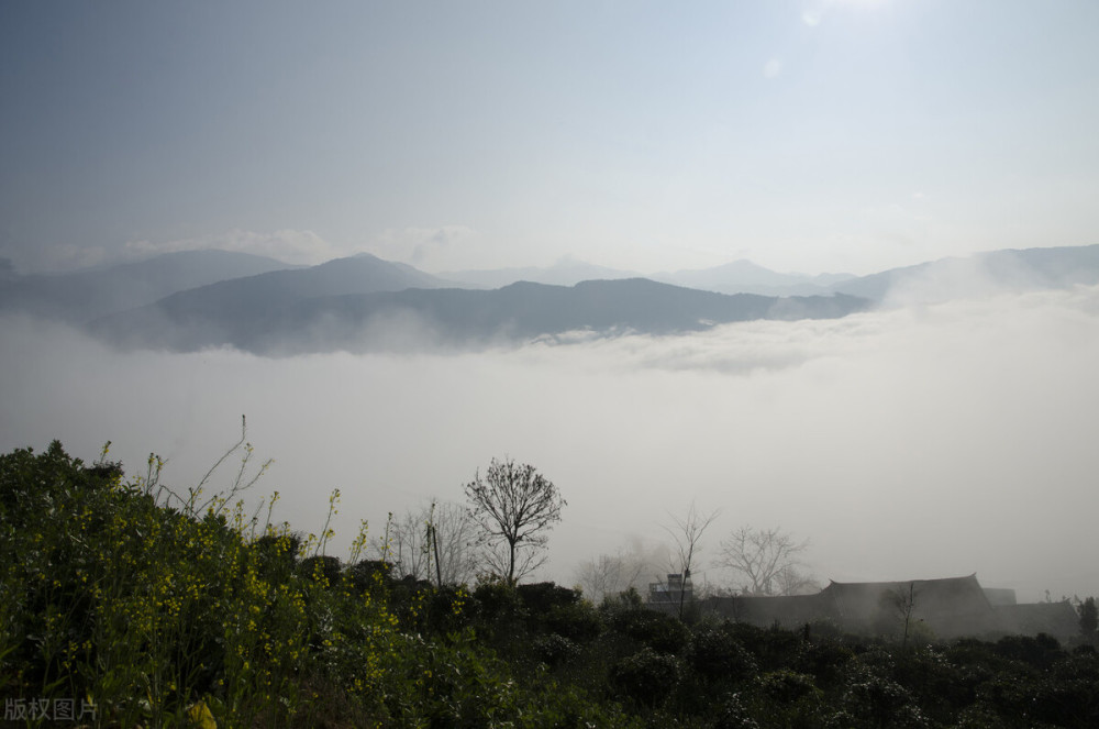 哀牢山猝死之谜,一天内四人离奇死亡,哀牢山地区为什么这么凶险?