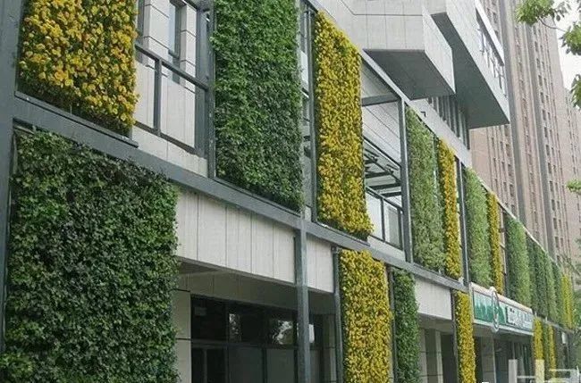 綠化墻植物墻-墻面綠化裝飾框