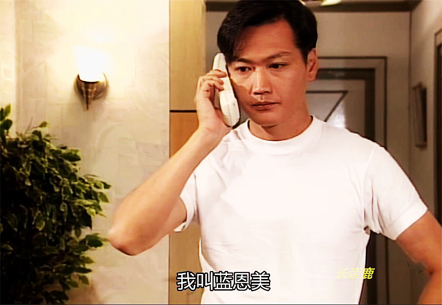 张大勇(陶大宇饰演)和金枝(苏玉华饰演)出去游玩回来,发现背包拿错了