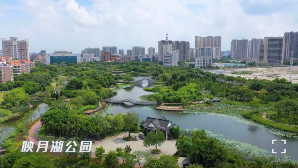 为配合映月湖公园二期建设 桂城平洲花木市场