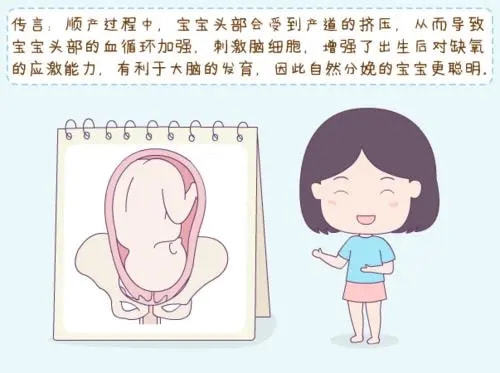 然而,自然分娩时的产道挤压对婴儿的脑部容积,沟回等并无影响,但没有