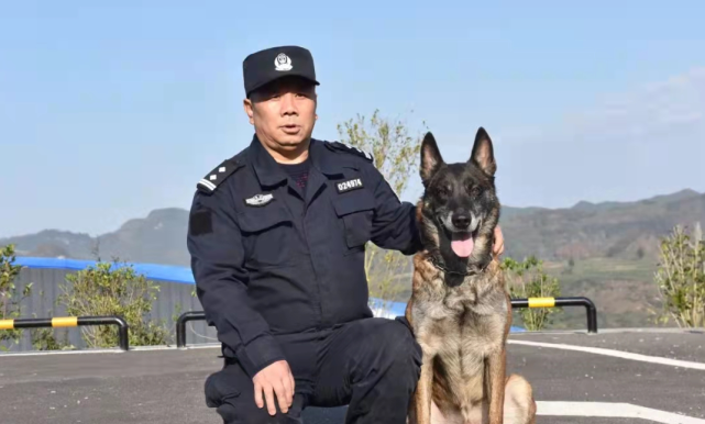 他们与警犬在一起的时间超过50000小时,看一级"功勋犬"是如何炼成的?