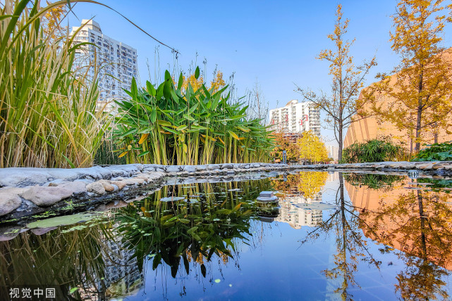 上海活水公园秋色迷人 风景如画