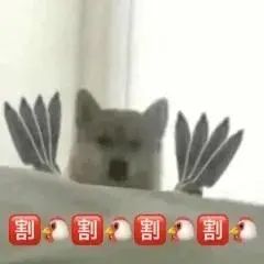 小狗拿刀表情包3 小狗拿花 拿烤串 烤鸡翅烤猪蹄火腿肠 冰糖葫芦 锤子