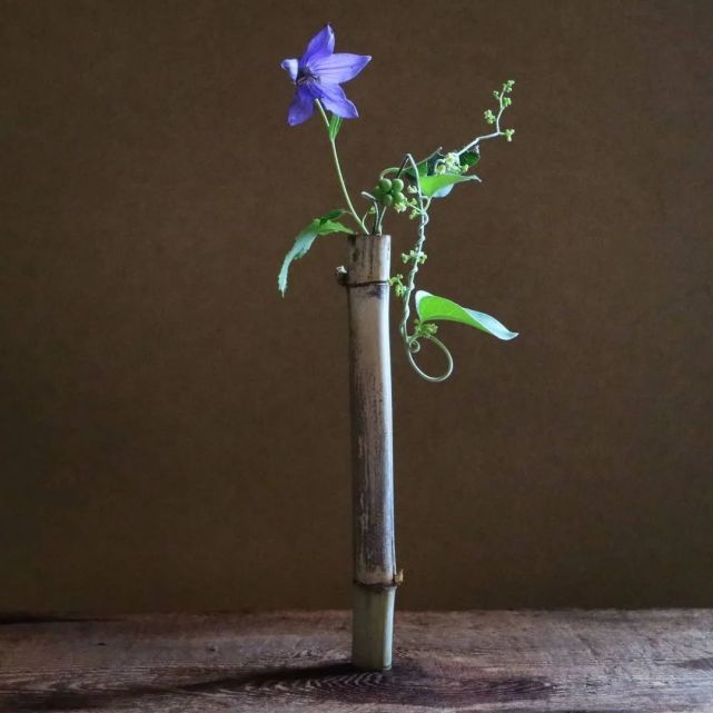 竹筒插花,取材于自然