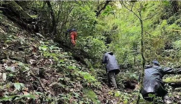 云南哀牢山4名遇难者遗体被转运出山!