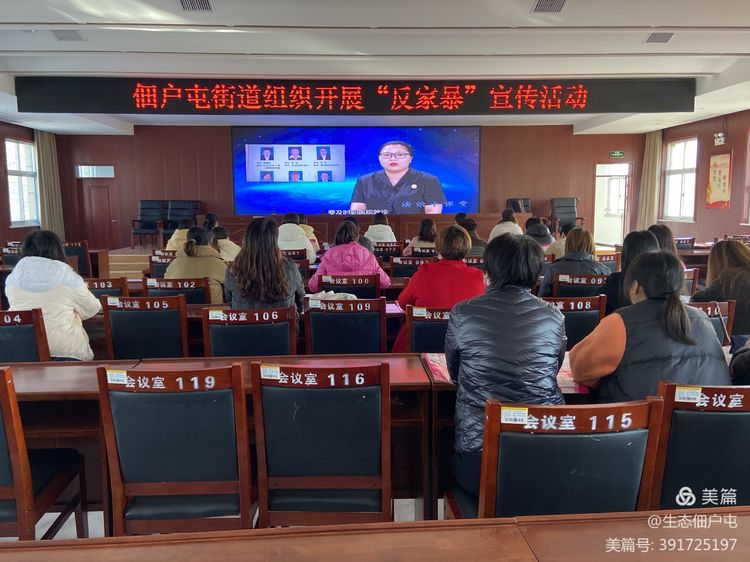 菏泽经济开发区佃户屯街道组织开展反家暴宣传