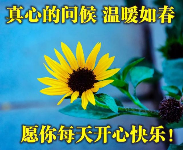 天气变冷的早安祝福图片合集 冬天暖心的早上好问候