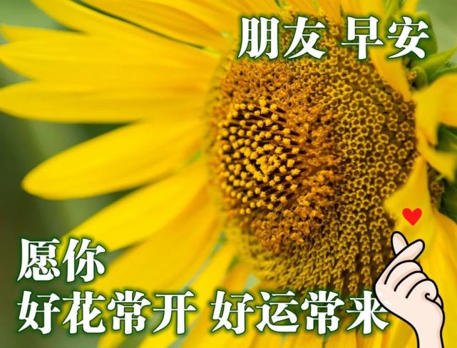 天气变冷的早安祝福图片合集 冬天暖心的早上好问候