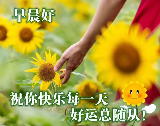 2021年11月30日 早上好问候祝福动态表情图片 最新语