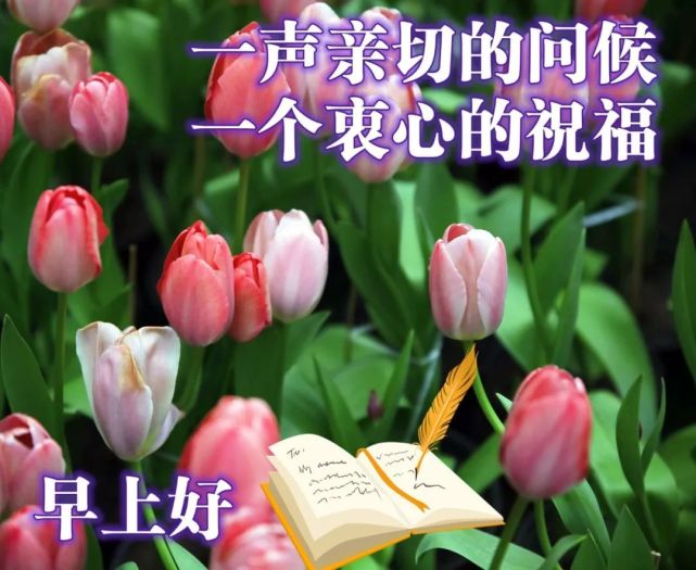 天气变冷的早安祝福图片合集 冬天暖心的早上好问候