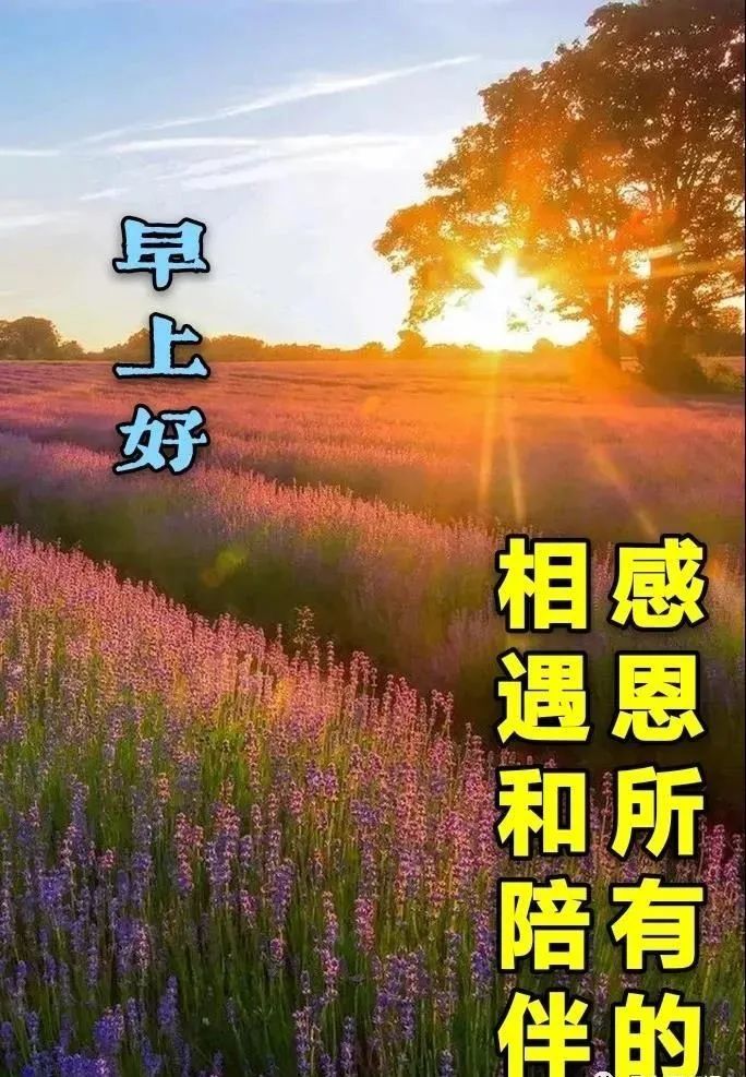 图片大全 冬季早安问候语暖心话 适合冬天发的暖心朋友圈早晨温馨心语