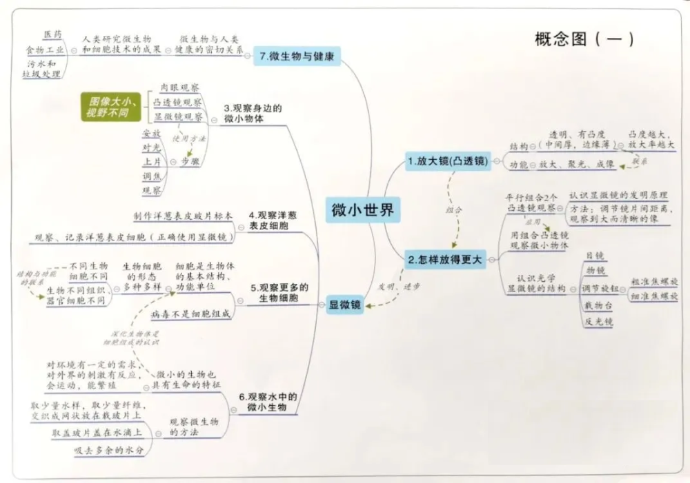 6-1《微小世界》思维导图