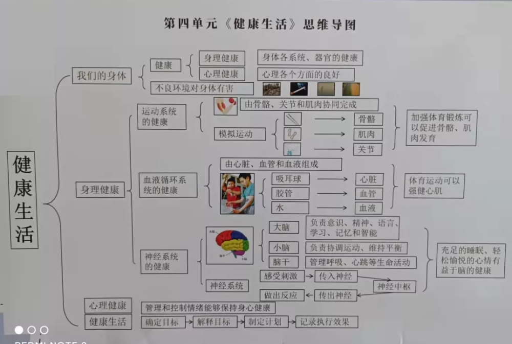 教科版五年级科学上册思维导图合辑