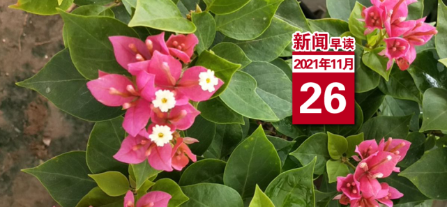衡水日报新闻早读2021年11月26日