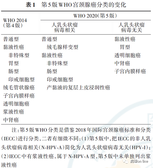 2017版who子宫内膜癌宫颈腺癌变化