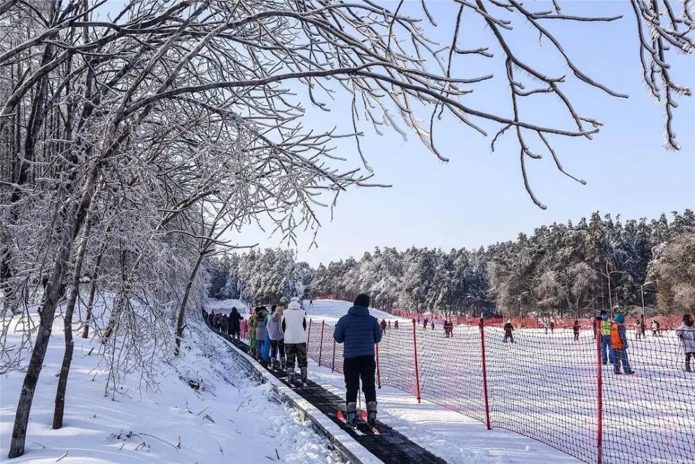 净月潭滑雪场开板 一起约一段"冰雪奇缘"吧!