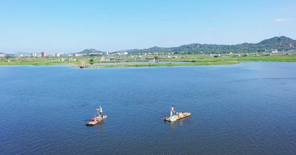 【潮州饶平美景】一片美如画卷的"海"——澄饶联围