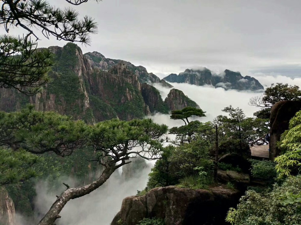 黄山仙境美景如画