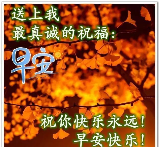 朋友惟愿你笑口常开幸福快乐每一天早安