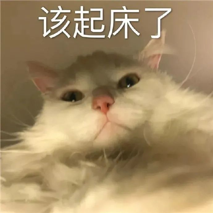 表情包一个大的抱抱