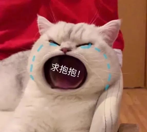 表情包我永远爱老公