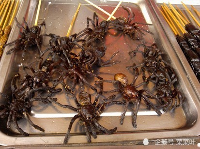 世界10大最恐怖食物你眼中的美味可能是别人眼中的恐怖食物