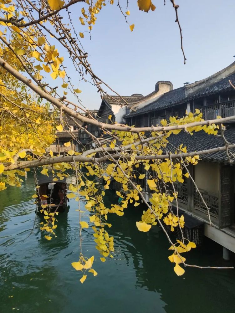 被誉为江南水乡no.1,这座神奇小镇有着你梦中的江南风景