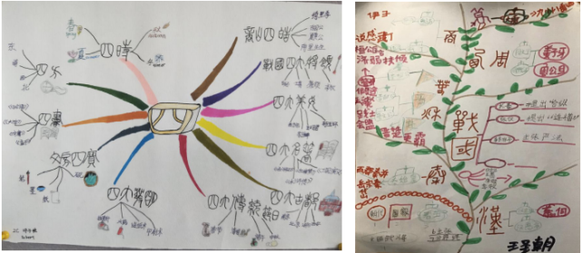 这所成立刚刚3年的年轻学校里,教学微创新正落地发芽