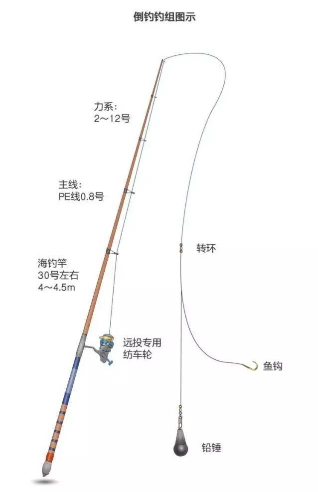 海钓第一课,学会这三种钓组,就会使用沉底钓了