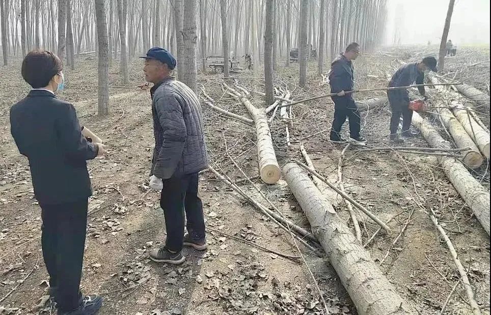 人民法庭 | 吴桥桑园法庭:法官下乡倾情调解 从田间地