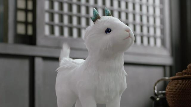 《宸汐缘:灵汐,好一个神奇宝贝收集者