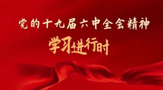 大理市志愿者学习热议党的十九届六中全会精神