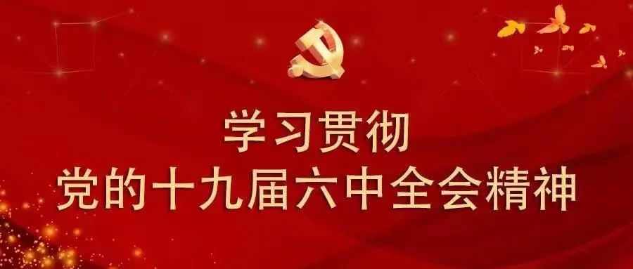 松南乡党委理论学习中心组学习宣传贯彻党的十九届六中全会精神