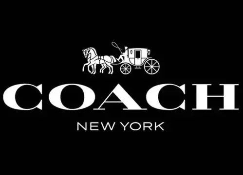 coach蔻驰虎年限定腕表,低至2.3zhe!还送四叶草项链!