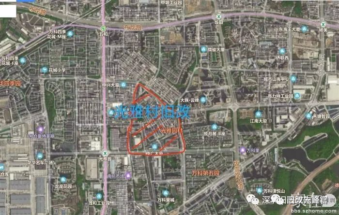 龙岗区坂田街道光雅园村2021年总人口有多少深圳开车去惠州要核酸证明吗