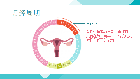 她是从小进入青春期以后才有,这个就是女性很典型的月经周期示意图