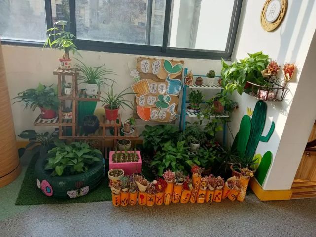 幼儿园环创设计之植物区角