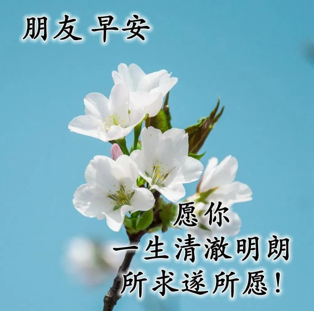 朋友圈暖心幸福的早上好祝福图片,唯美清新的早安祝福