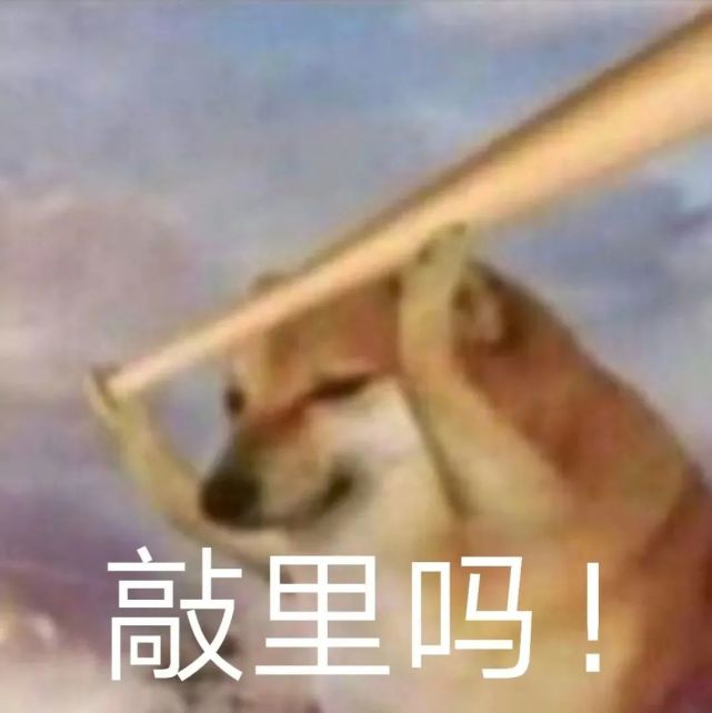 表情包|蛤蟆狗柴犬cheems表情包
