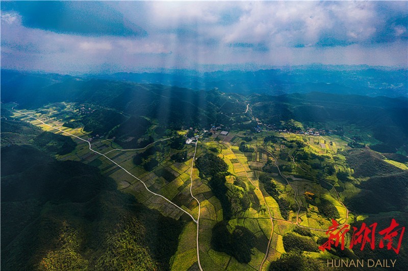 龙山县大安乡翻身村烟叶种植基地 徐正祥 摄)