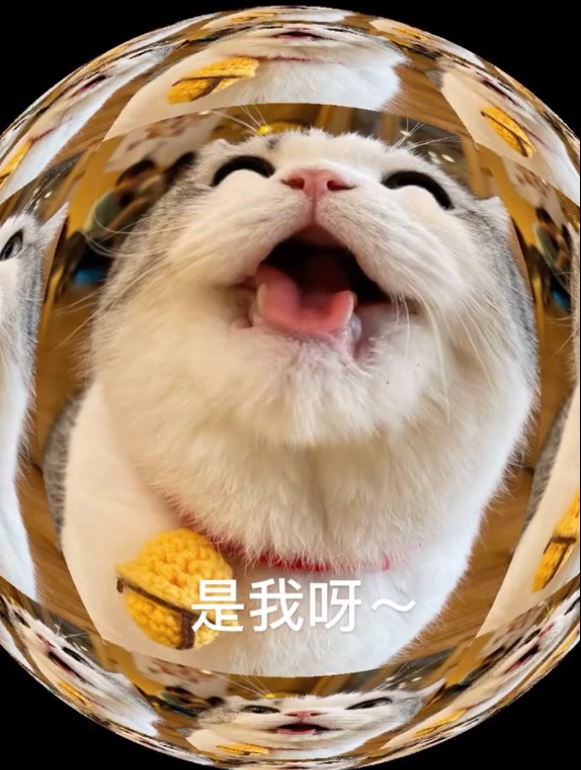 45个聊天撒娇必用大嘴猫表情