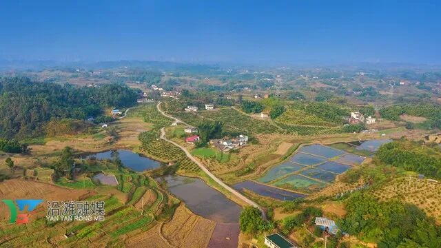 耙耙柑等柑橘位于沿滩区兴隆镇光辉村的柑橘基地今天小融带你去沿滩