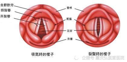 重庆弘医堂医院分享:声带息肉用什么药治疗才好