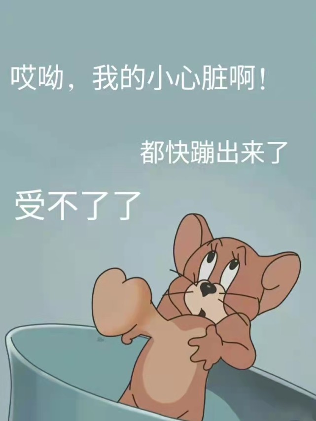 "猫和老鼠可爱表情包"