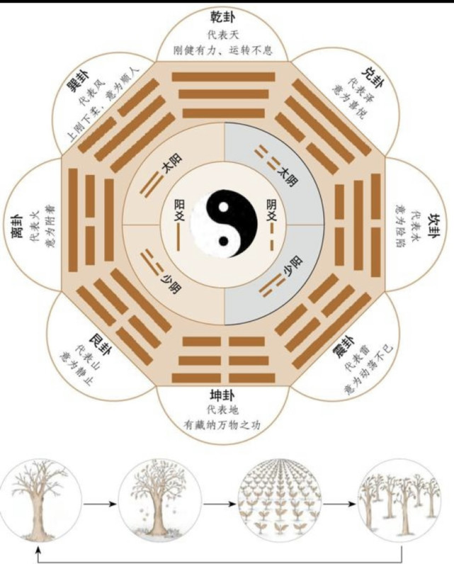 八八六十四";《道德经》则表述为"道生一,一生二,二生三,三生万物