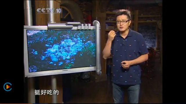 央视"闹鬼"节目停播《走近科学》往事